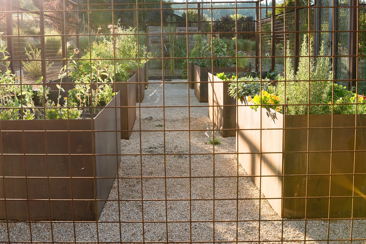 Timber Creek — Landscape Designer | Landscape Architecture | Coeur d'Alene  & North Idaho Landscape Designer | Landscape Architecture | Coeur d'Alene &  North Idaho Landscape Designer | Landscape Company | Coeur d'Alene