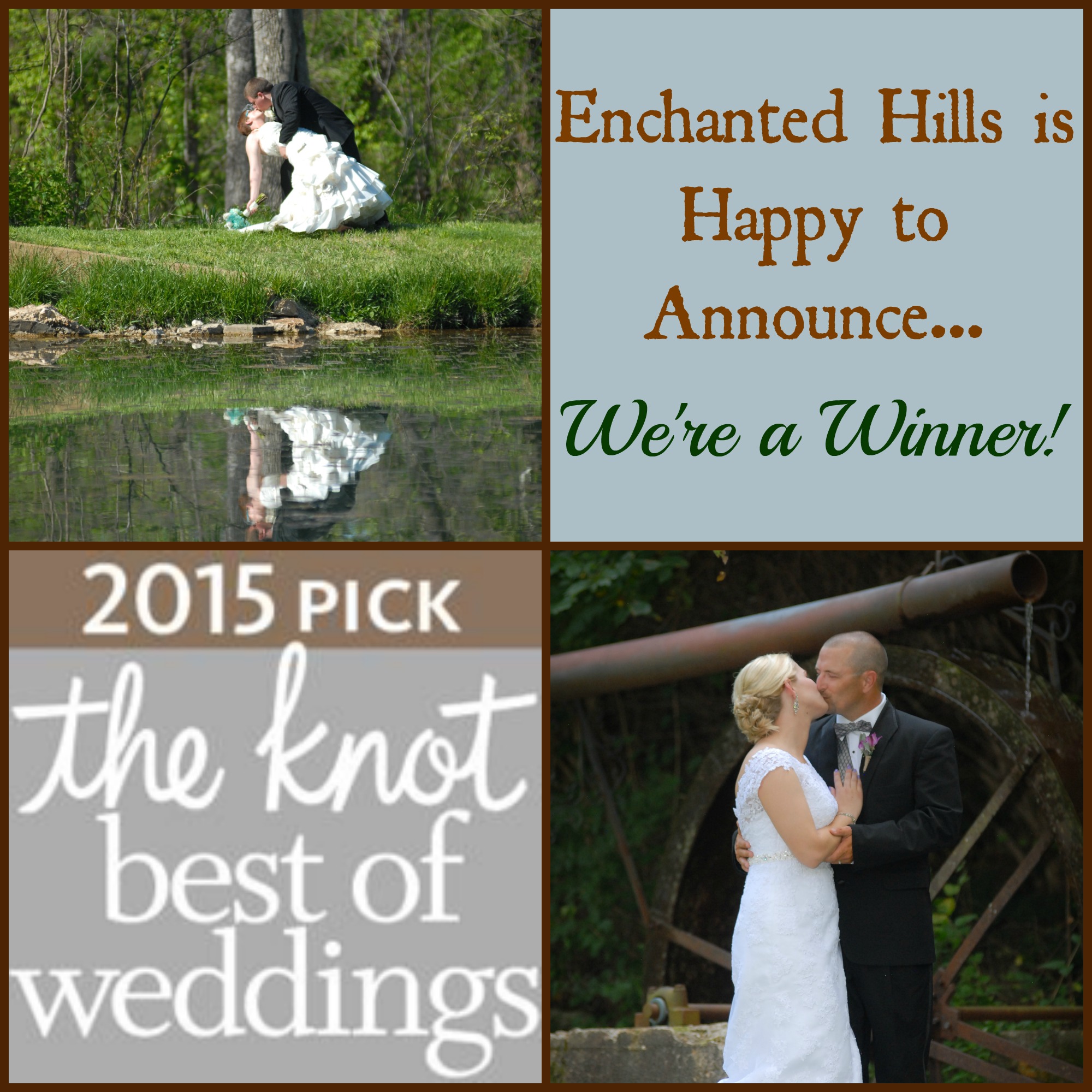 We won Best Of Weddings from The Knot for 2015!