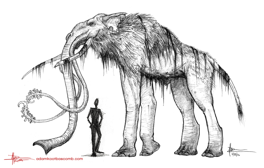 Maned-Bellow_WEB.jpg