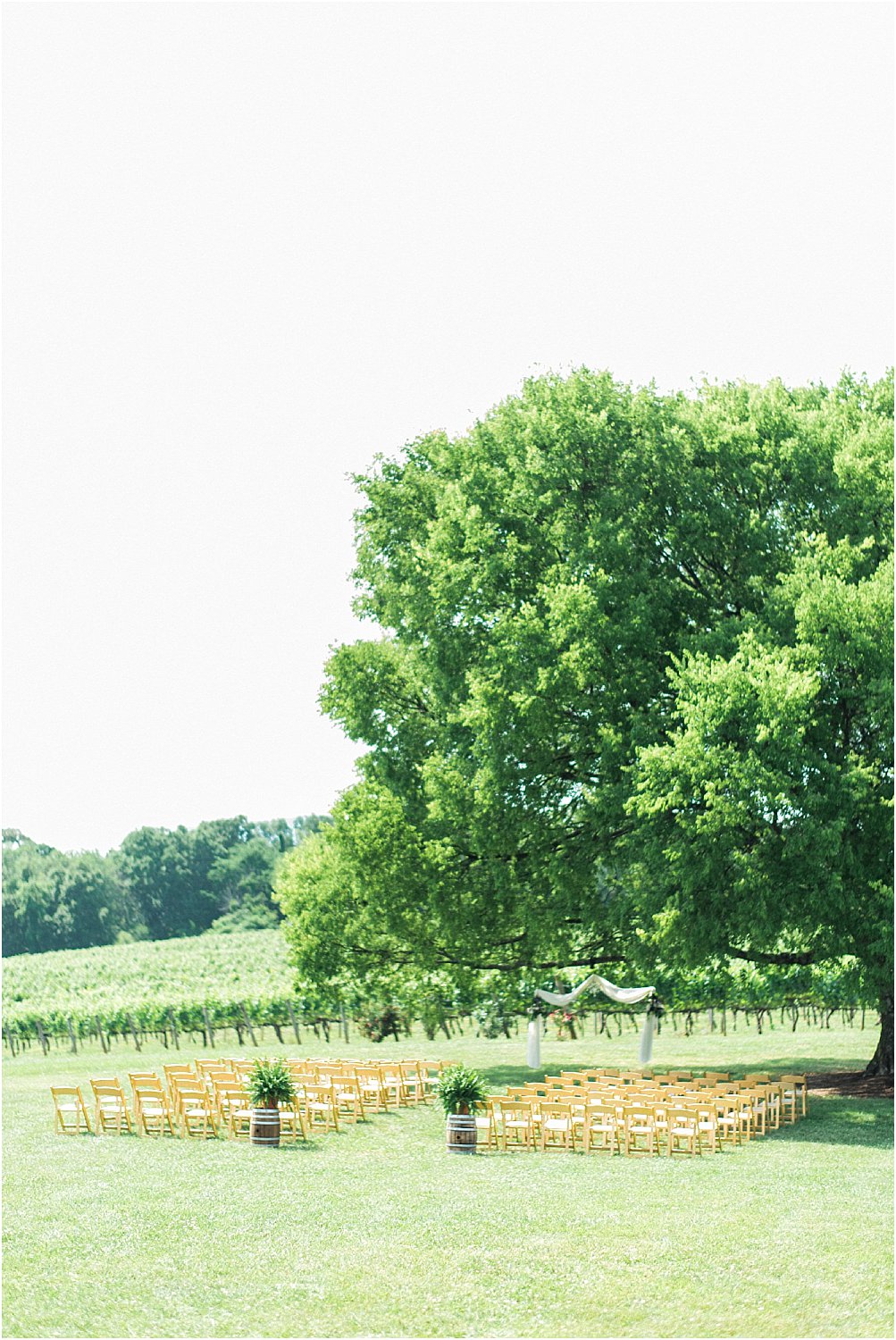 outdoor-vineyard-wedding-tennessee-Spout Spring Estates Vineyard | Tabitha + John