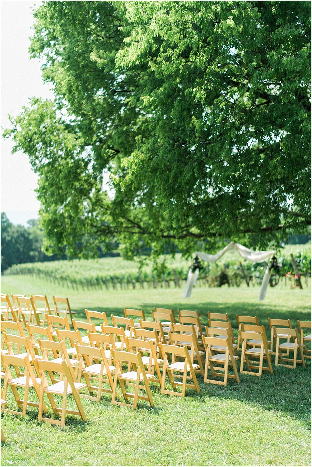 outdoor-vineyard-wedding-tennessee-Spout Spring Estates Vineyard | Tabitha + John