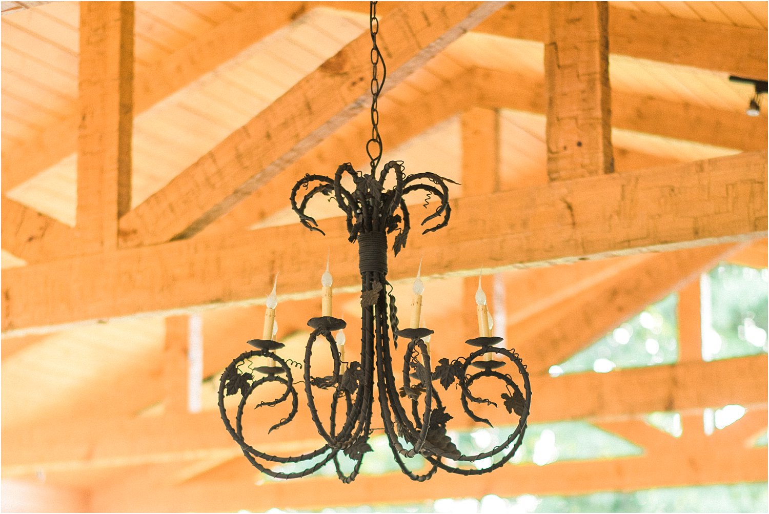 outdoor-vineyard-wedding-tennessee-Spout Spring Estates Vineyard | Tabitha + John