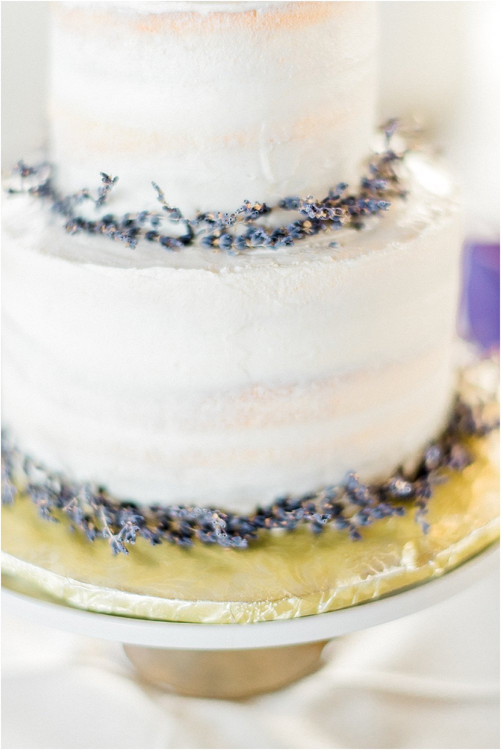 outdoor-vineyard-wedding-tennessee-Spout Spring Estates Vineyard | Tabitha + John