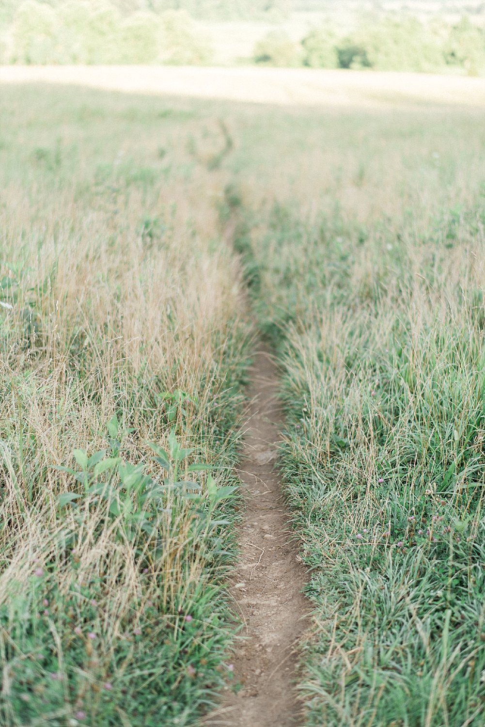 Cades Cove Smoky Mountain Engagement | Alisha & Evan | Gatlinburg Wedding Photographer