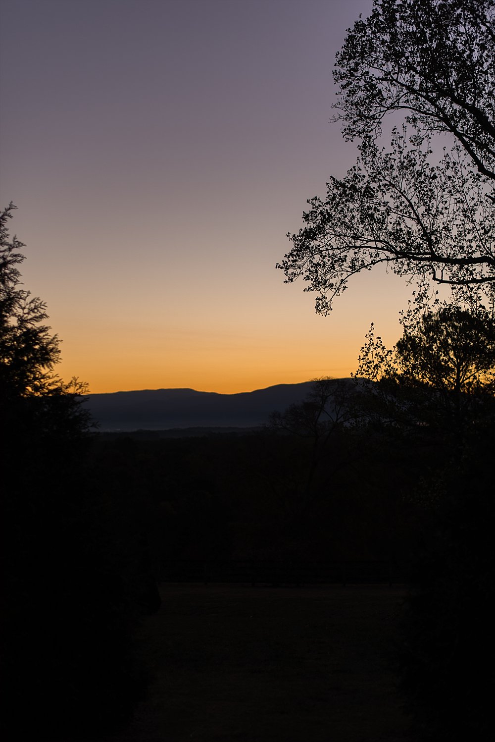 http://juicebeatsphotography.com