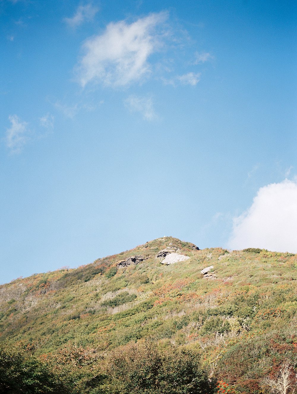 grecian goddess bridal-craggy mountains-asheville-black moutain | Asheville Wedding Photographer