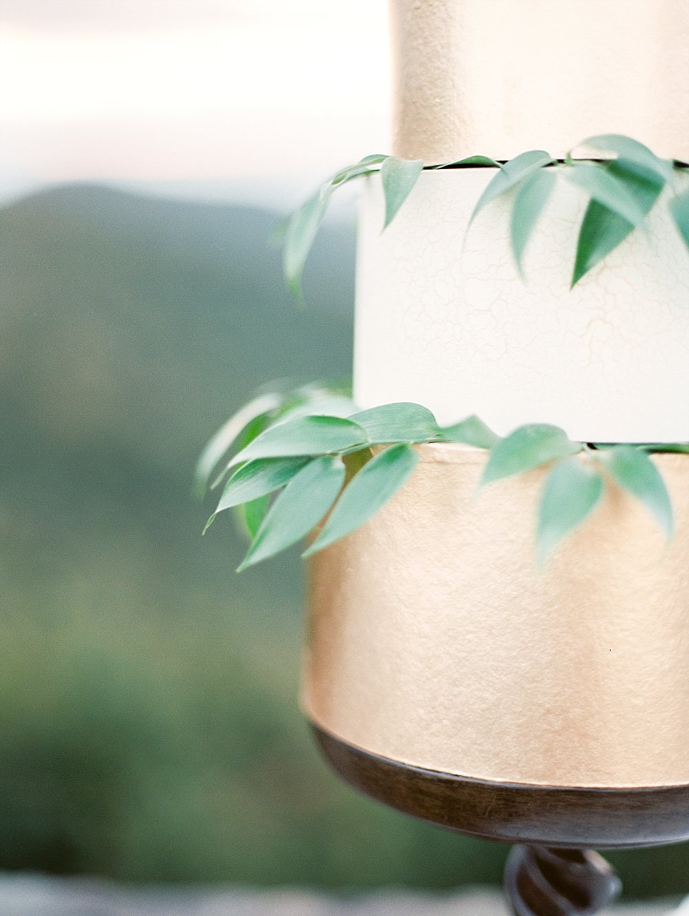 grecian goddess bridal-craggy mountains-asheville-black moutain | Asheville Wedding Photographer