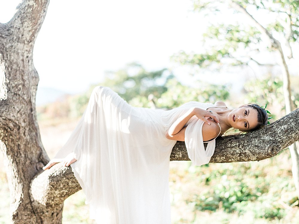 grecian goddess bridal-craggy mountains-asheville-black moutain | Asheville Wedding Photographer