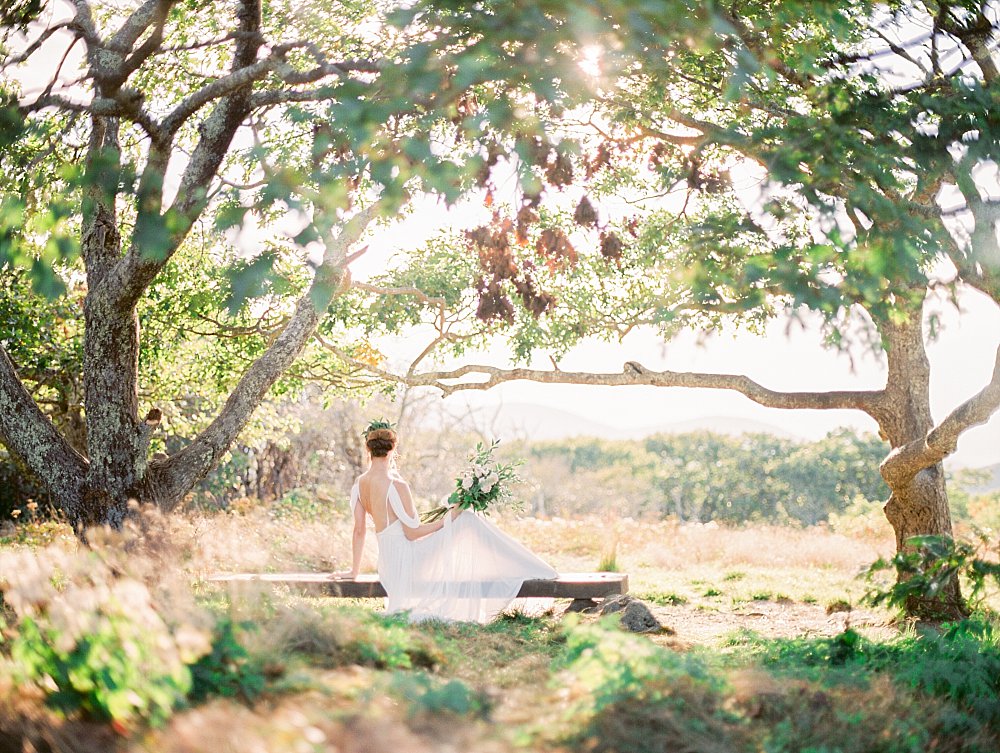 grecian goddess bridal-craggy mountains-asheville-black moutain | Asheville Wedding Photographer