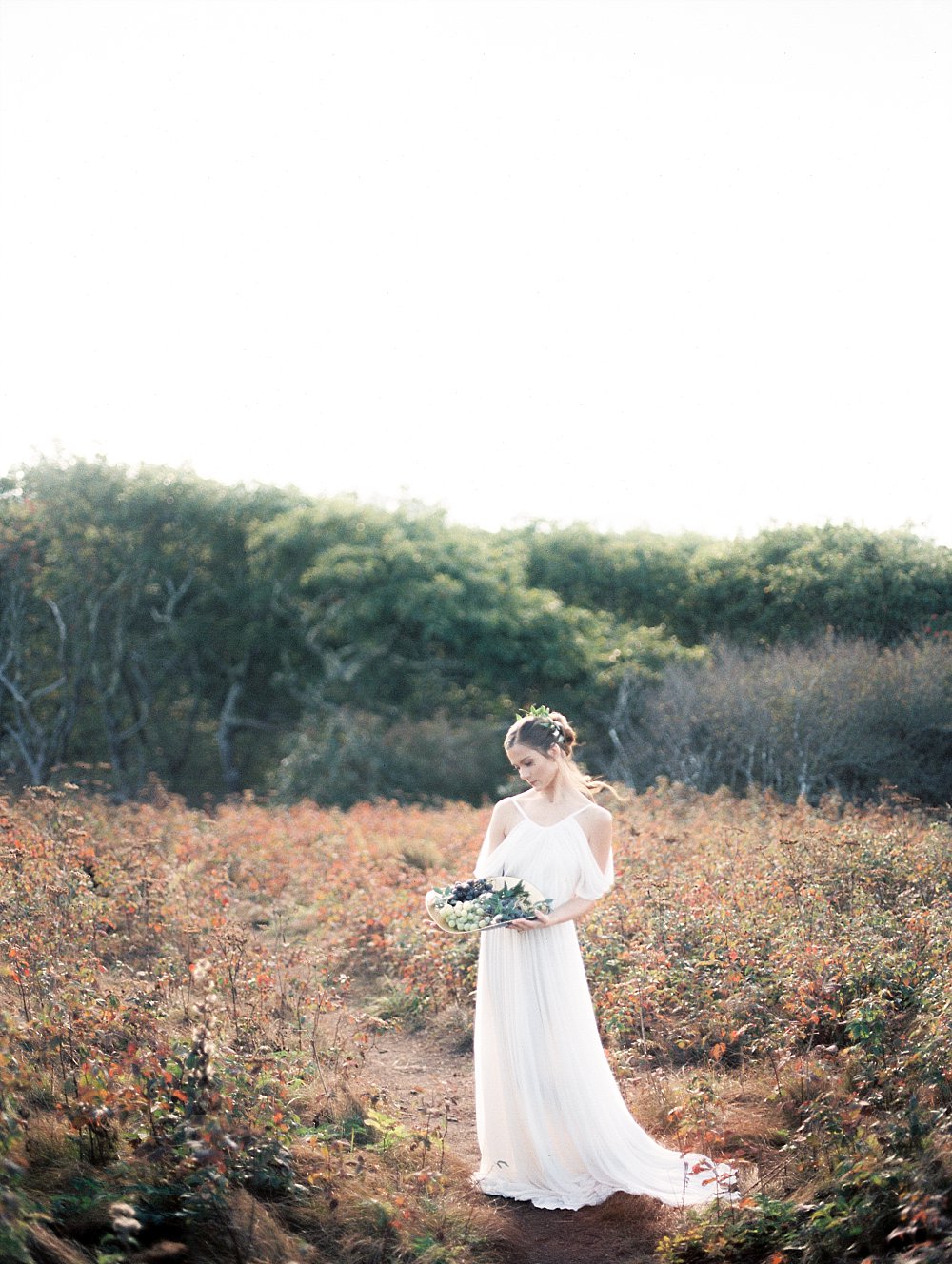 grecian goddess bridal-craggy mountains-asheville-black moutain | Asheville Wedding Photographer