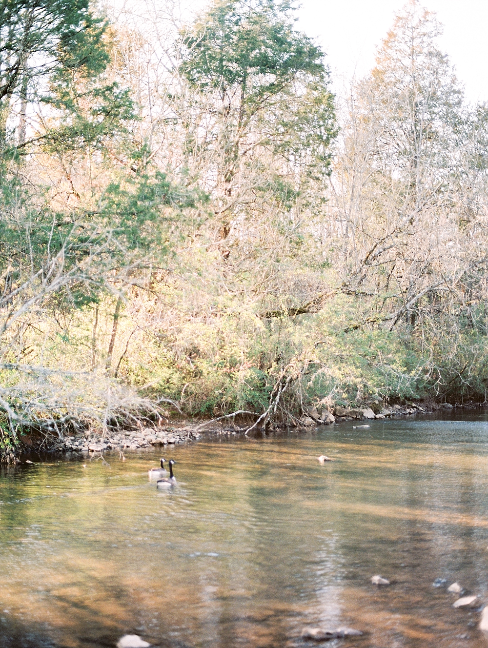 JuicebeatsPhotography_KnoxvilleEngagement_Kristina&Ben_0053.jpg