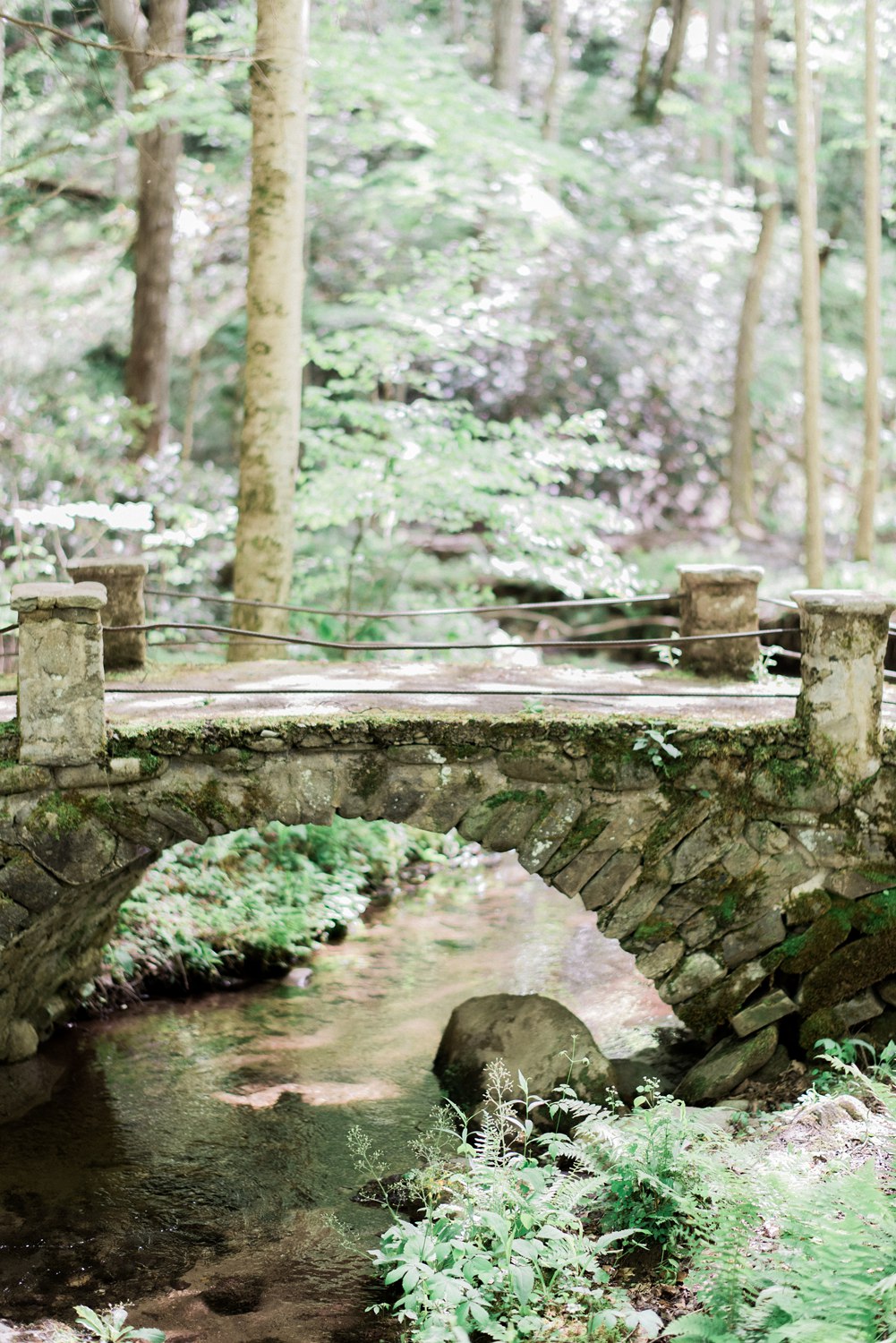 spence cabin wedding - knoxville wedding photographer 