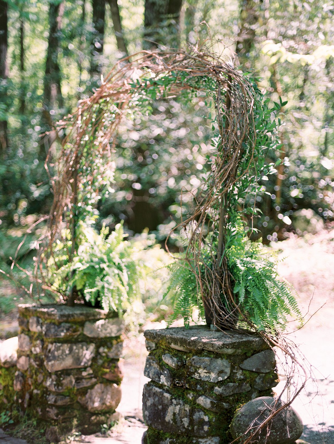 spence cabin wedding - knoxville wedding photographer 