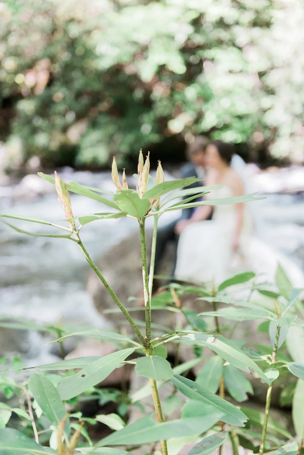 spence cabin wedding - knoxville wedding photographer