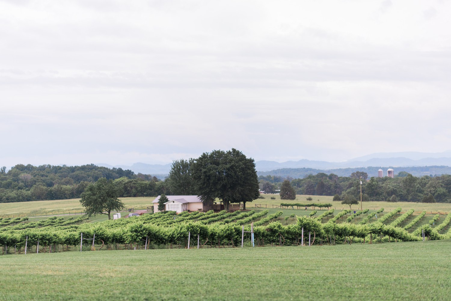 Tsali Notch Vineyard Wedding | Styled shoot | lace wedding dress | Flowy dress | portra 400 | film photography | Vineyard Wedding