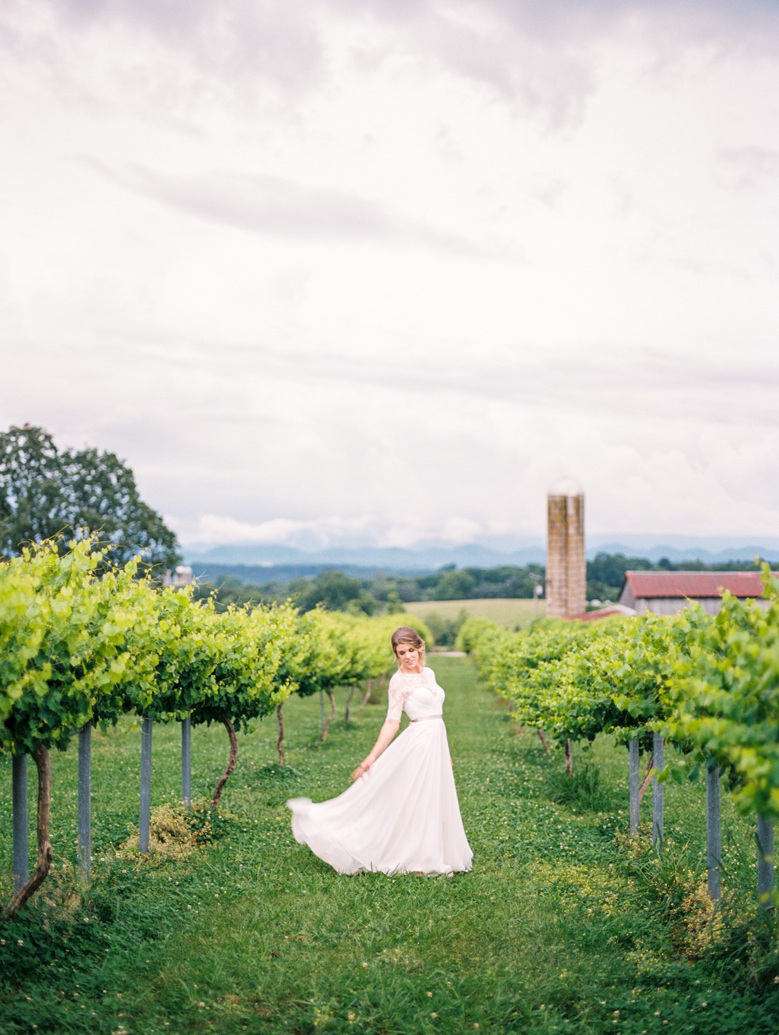 Tsali Notch Vineyard Wedding | Styled shoot | lace wedding dress | Flowy dress | portra 400 | film photography | Vineyard Wedding