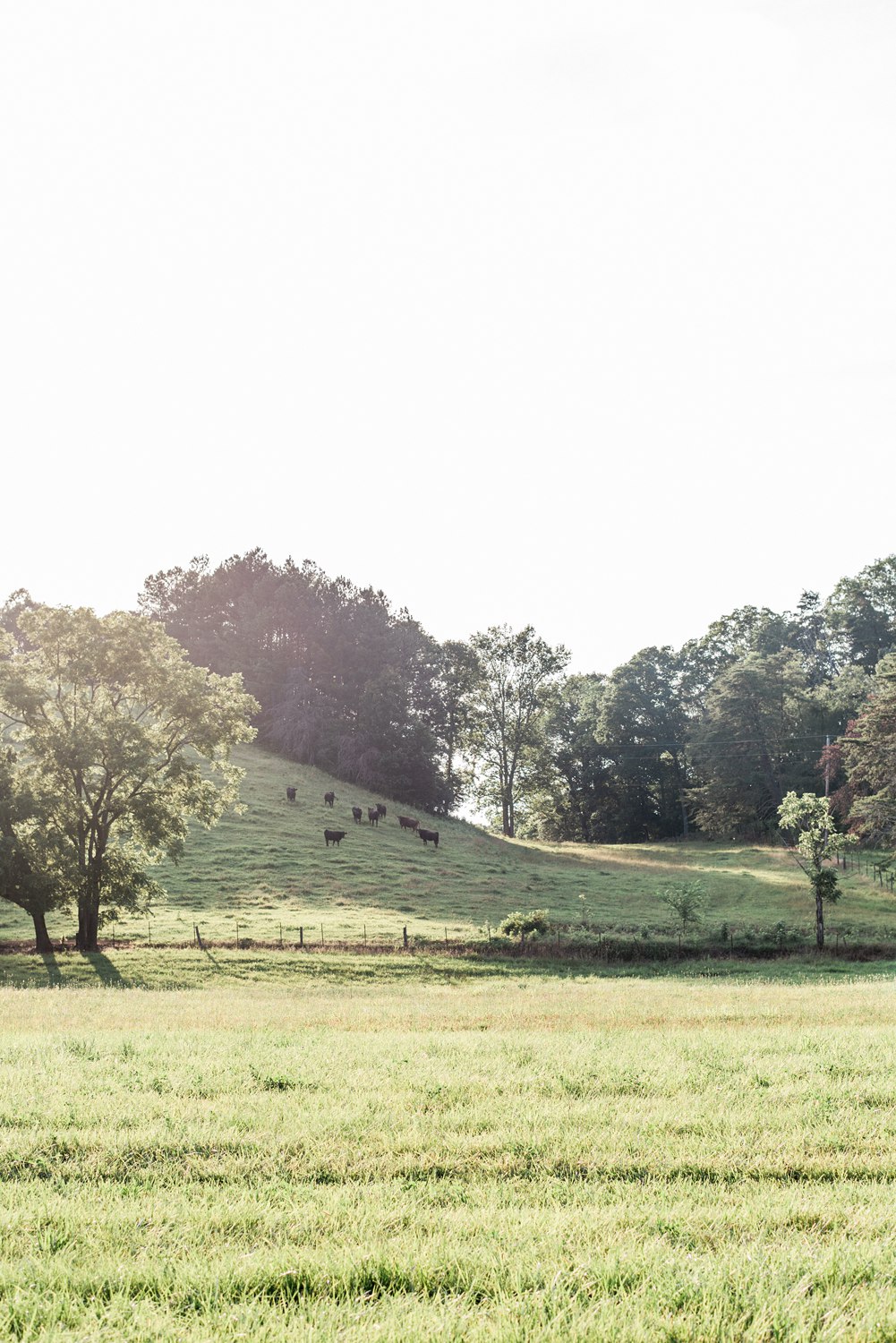 The Carriage House Wedding | Knoxville Wedding Photographer