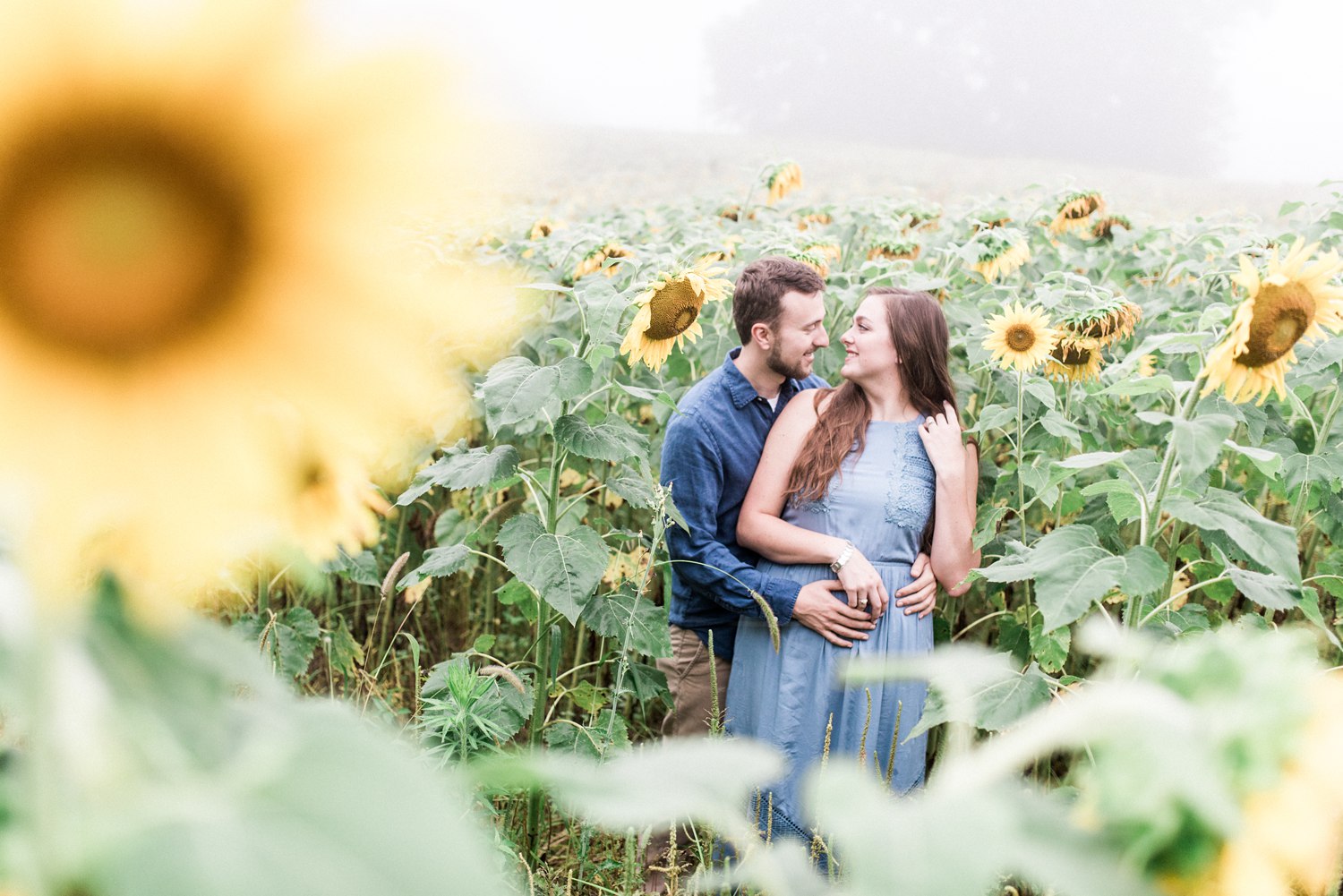 Forks of the River Sunflower Engagement | Knoxville Wedding Photographer