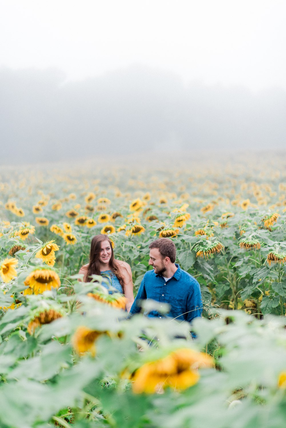 Forks of the River Sunflower Engagement | Knoxville Wedding Photographer