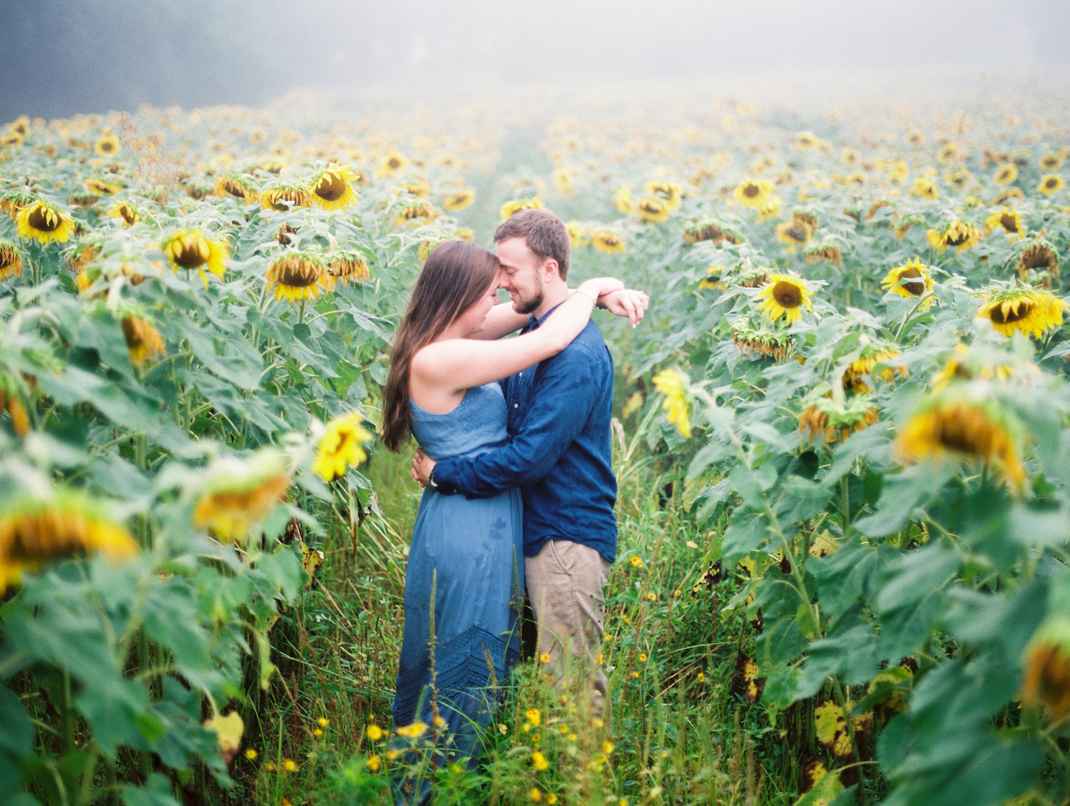 Forks of the River Sunflower Engagement | Knoxville Wedding Photographer