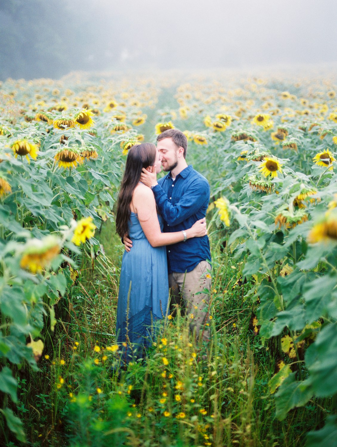 Forks of the River Sunflower Engagement | Knoxville Wedding Photographer