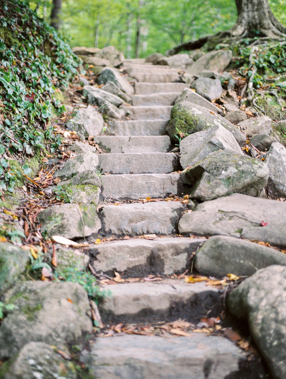 The Sinks & Gatlinburg Engagement | Emily & James