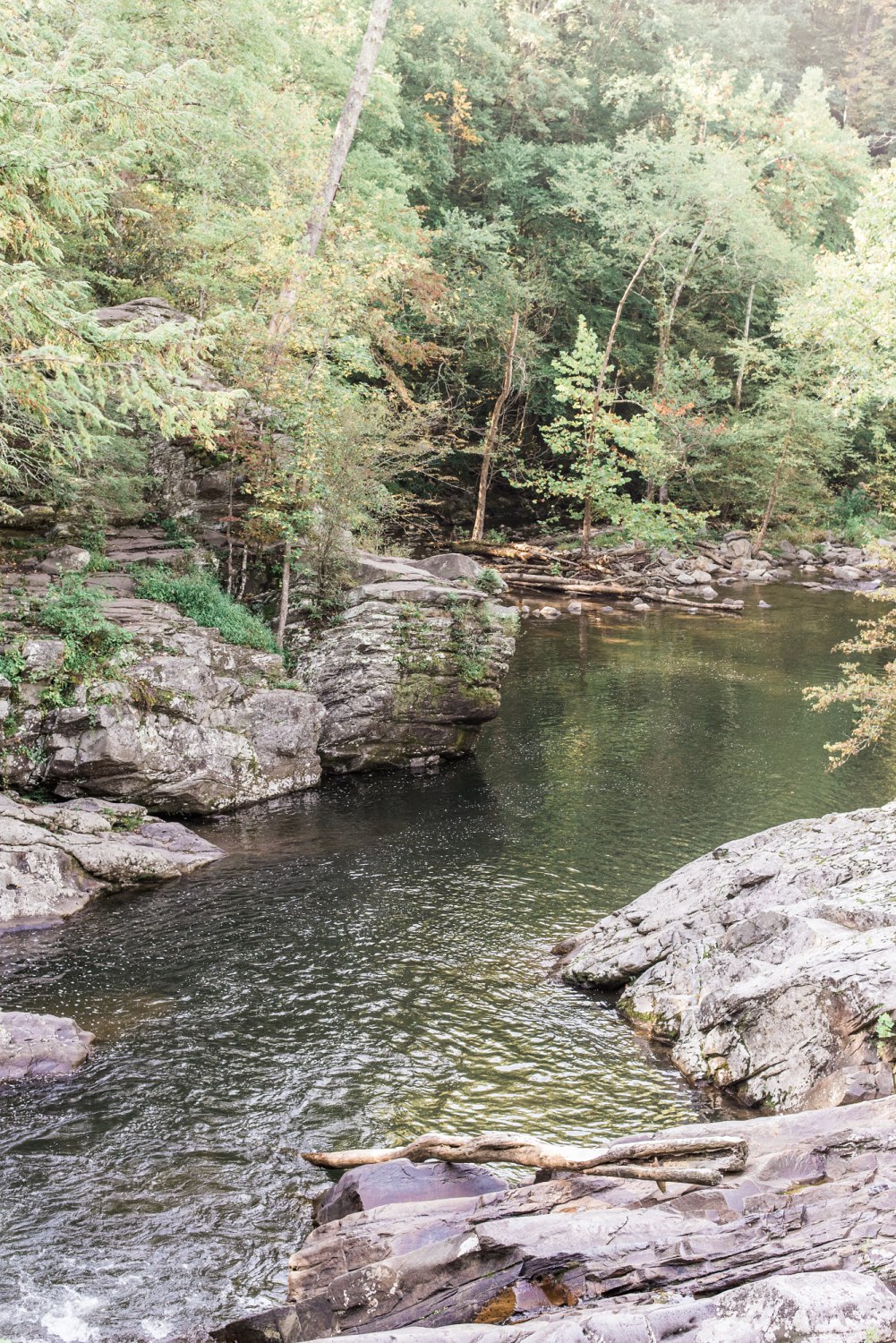 The Sinks & Gatlinburg Engagement | Emily & James