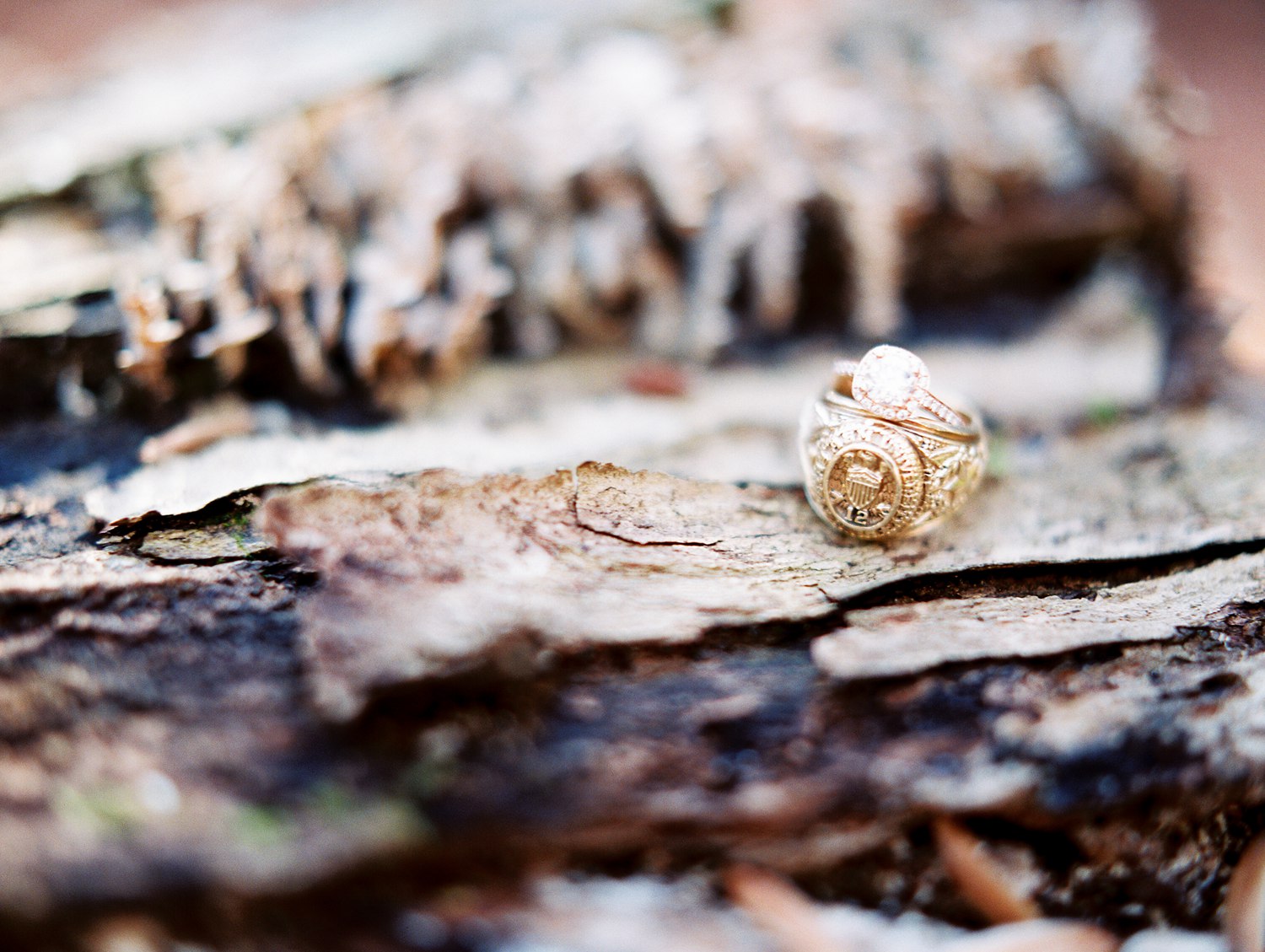 Elkmont | Spence Cabin Engagement | Stephanie & Addison