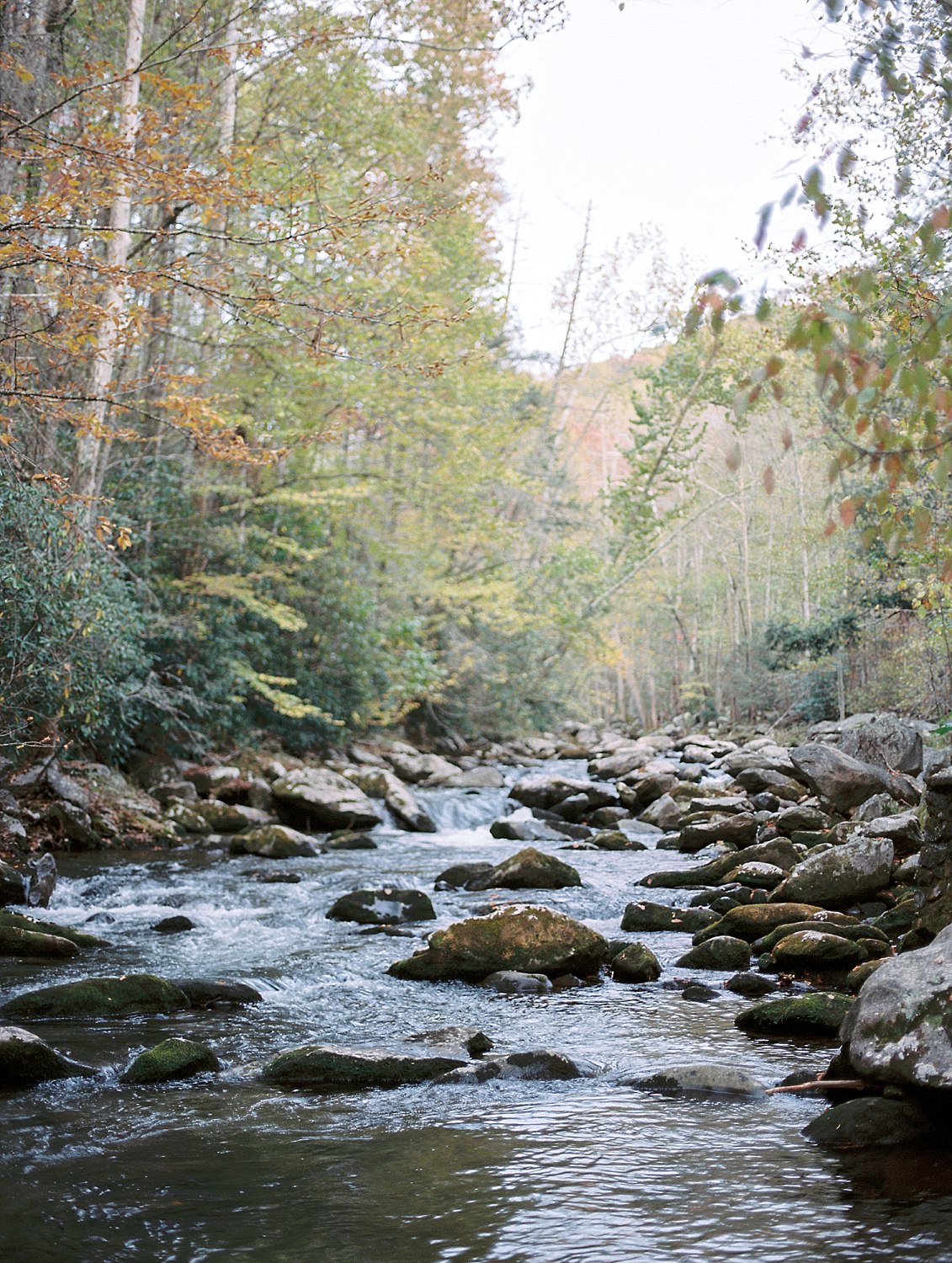 Spence Cabin Wedding Venue in the Smoky Mountains_Sarah&Josh