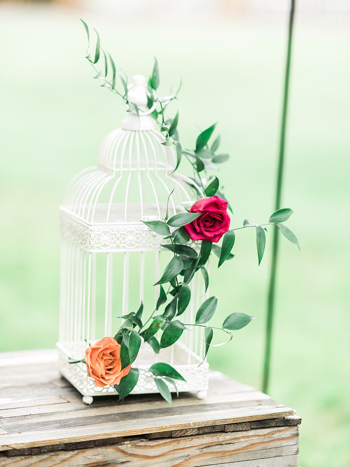 cardinals-nest-wedding-venue-gatlinburg-juicebeats-photography