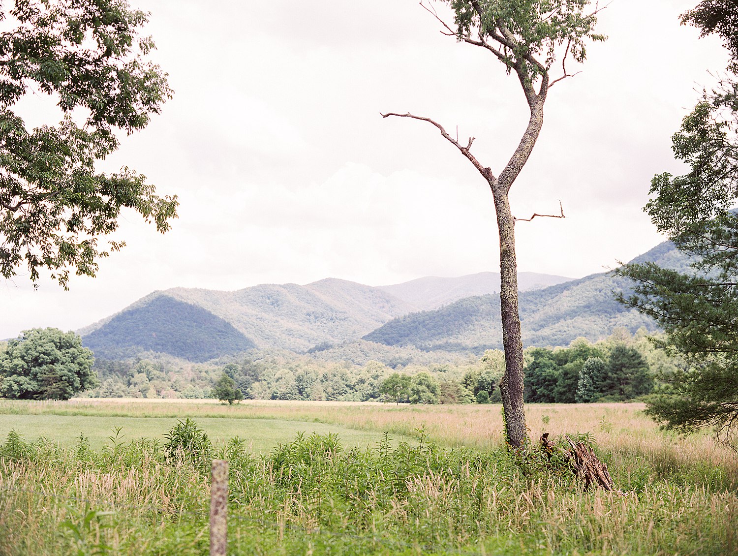 cades-cove-engagement-elizabeth&matt