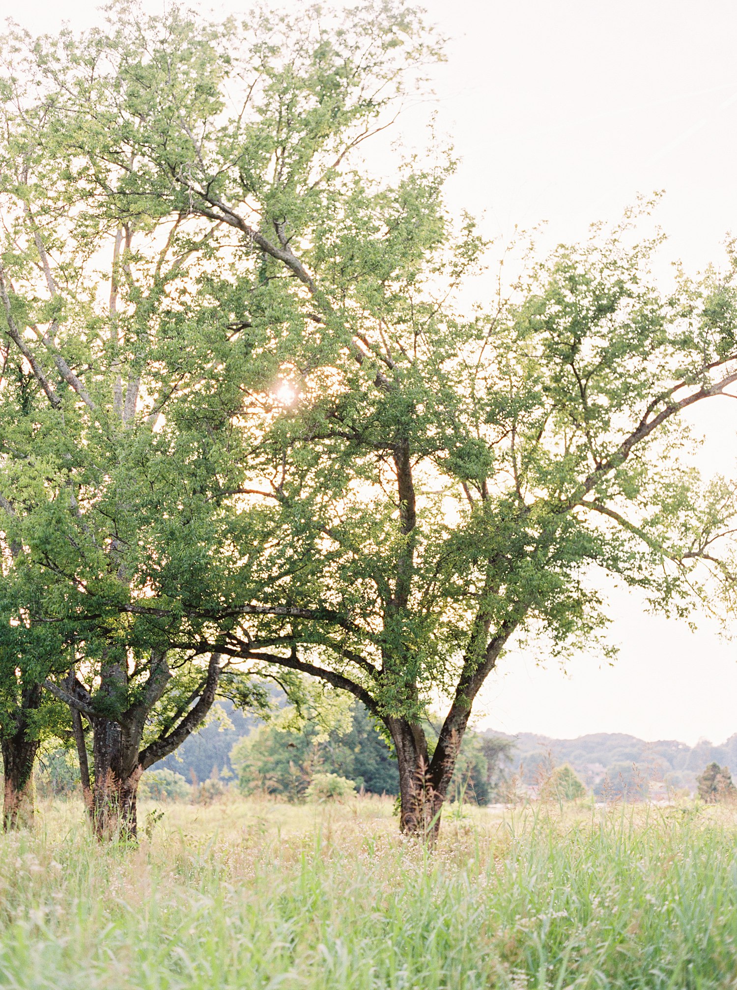 marblegate-farm-wedding-ashton&pj-knoxville-wedding-photographer