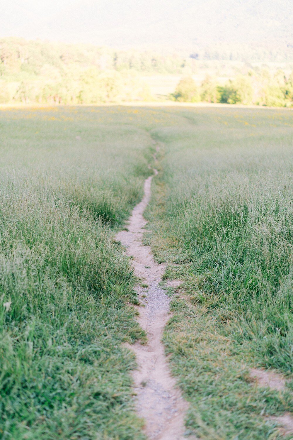 cades-cove-elopement-bettina&ivan