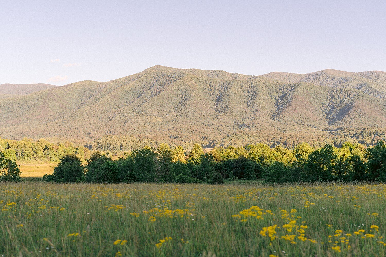 cades-cove-elopement-bettina&ivan