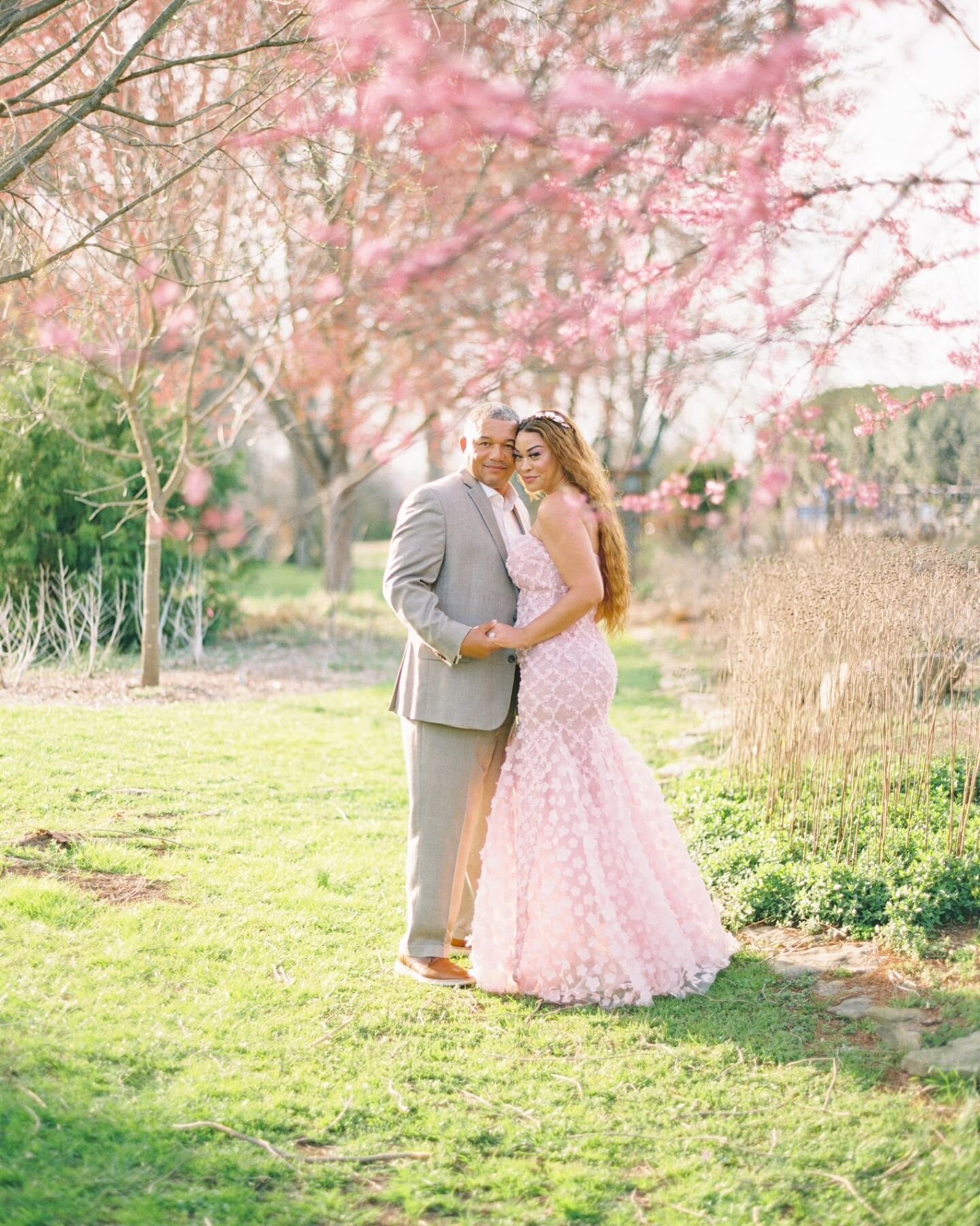 Embracing early spring at UT Gardens in Knoxville ✨ Captured on Portra 800 film, this engagement session bathed in gorgeous light is pure magic. 🌿📷 

Anita + Shea
.
.
.
.
#FilmPhotography #KnoxvilleEngagement #SpringVibes #knoxvilleweddingphotograp