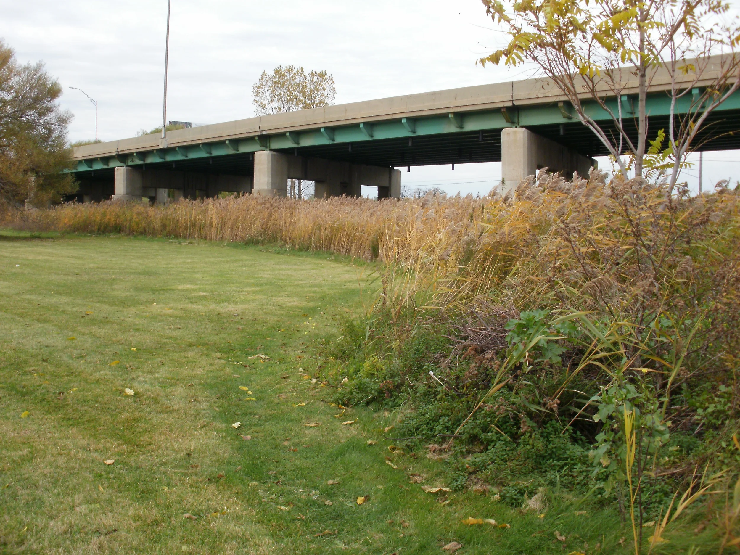 wetland-port-huron.jpg