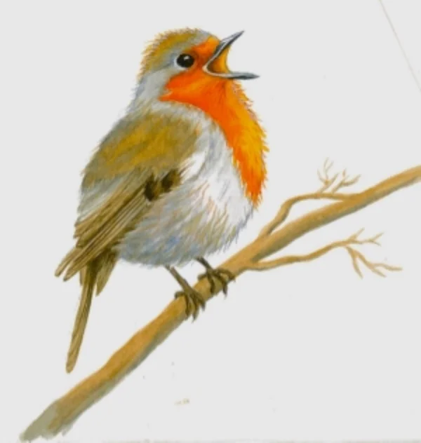 Joyful Christmas Robin