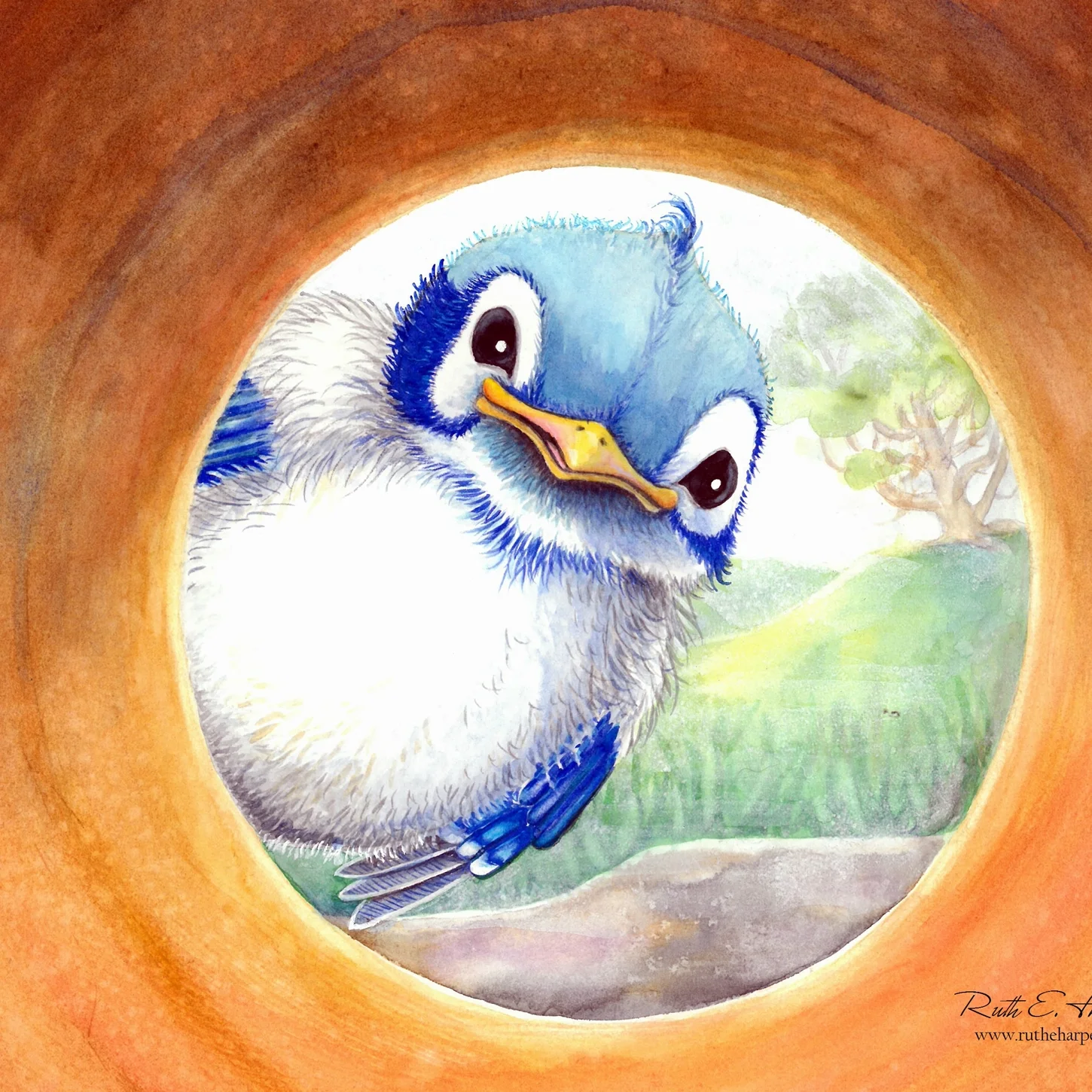 Calendar Image (Oliver).jpg