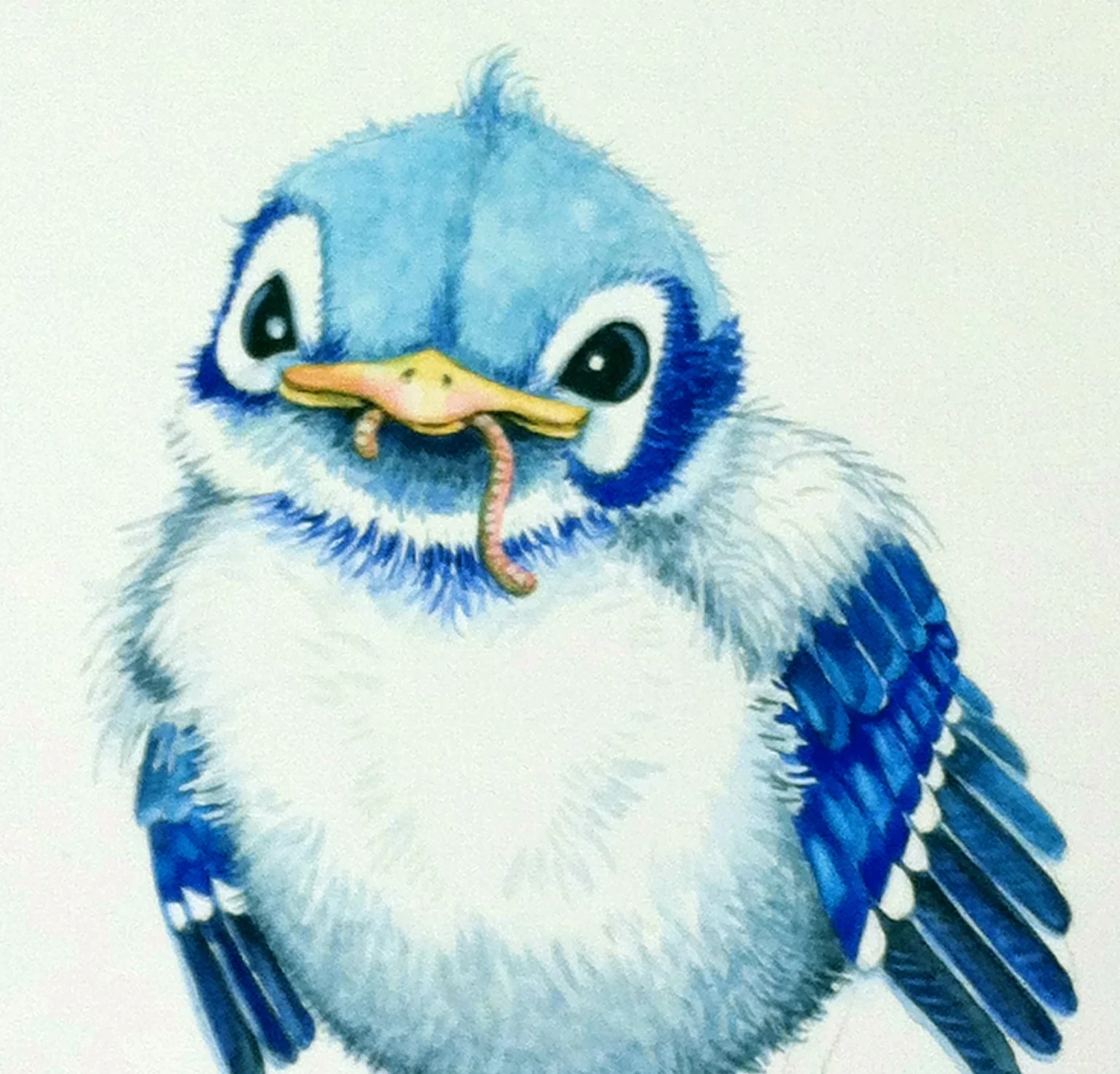 Oliver2 -crop.jpg