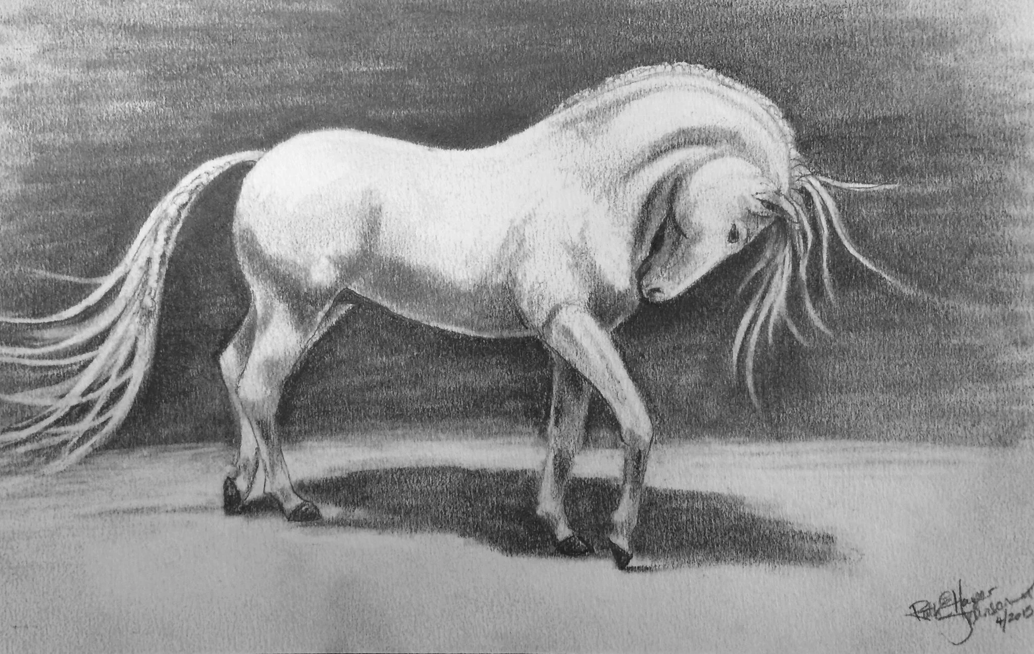 Jan's Horse 2015.jpg