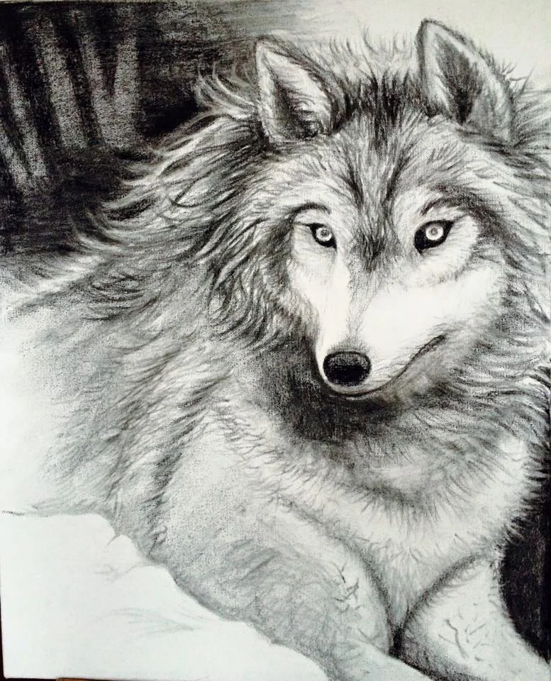 Sara's Wolf.jpg