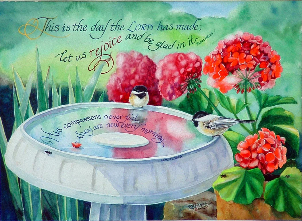 Chickadee New Day2.jpg