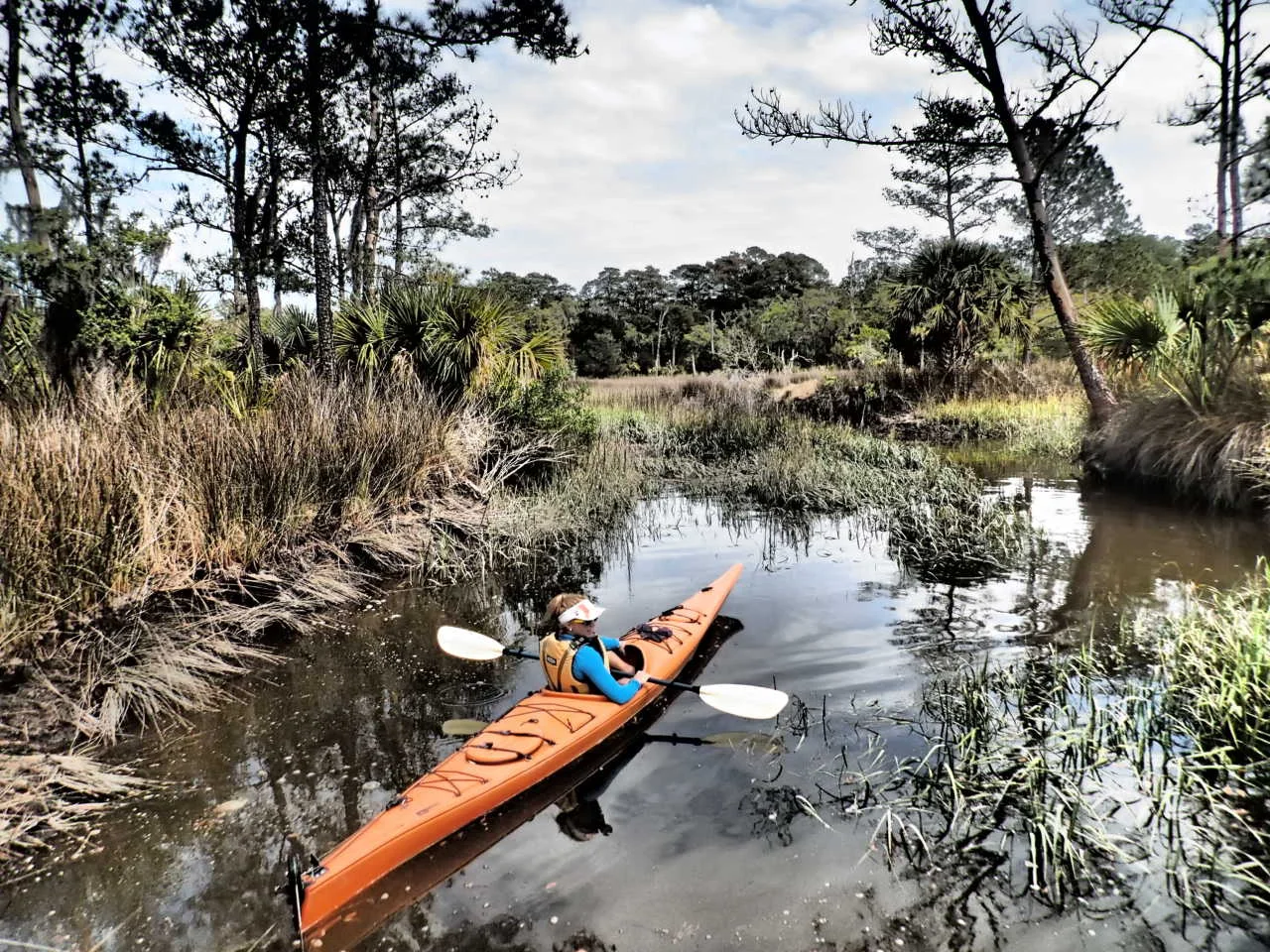 Half Day Tours Savannah Canoe And Kayak