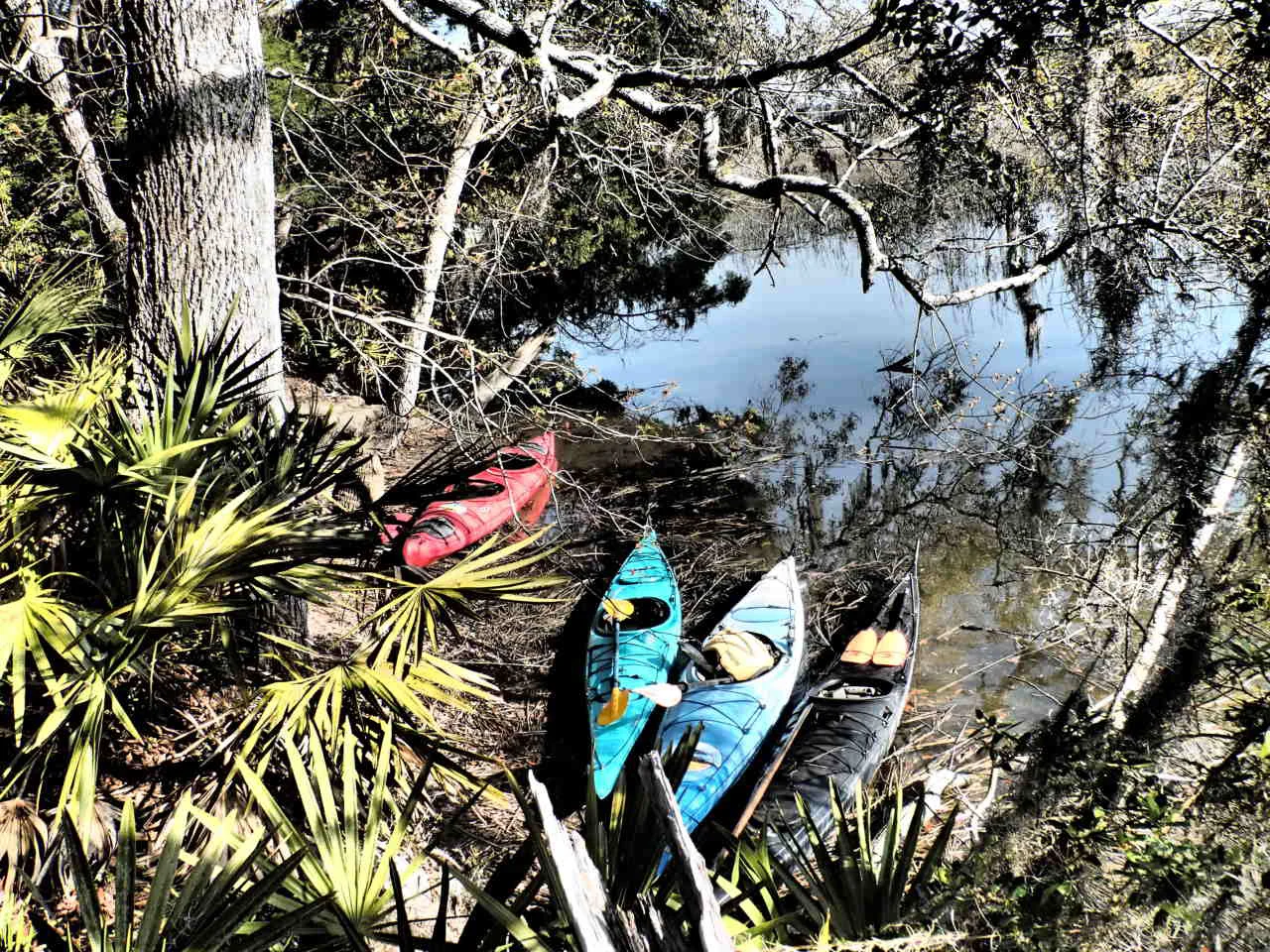 Savannah Kayak Skidaway River.jpg