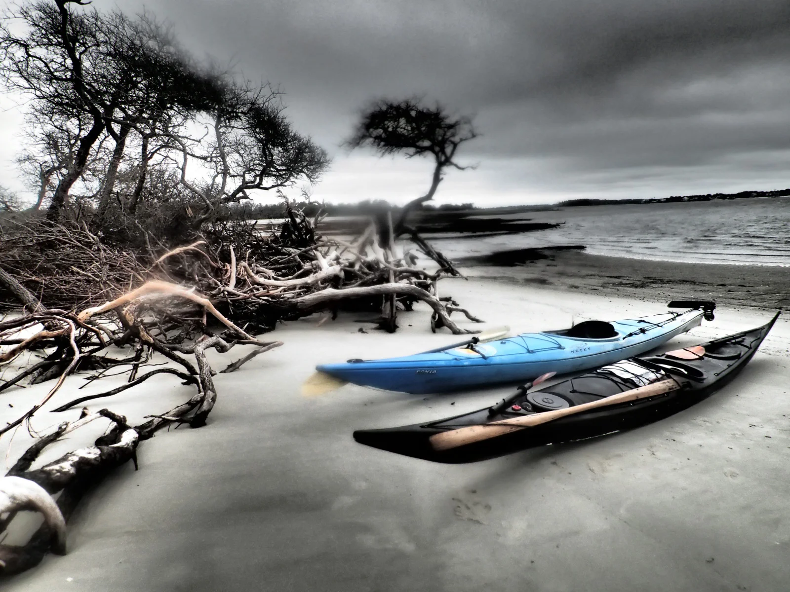 Savannah Kayak Little Tybee half day.jpg