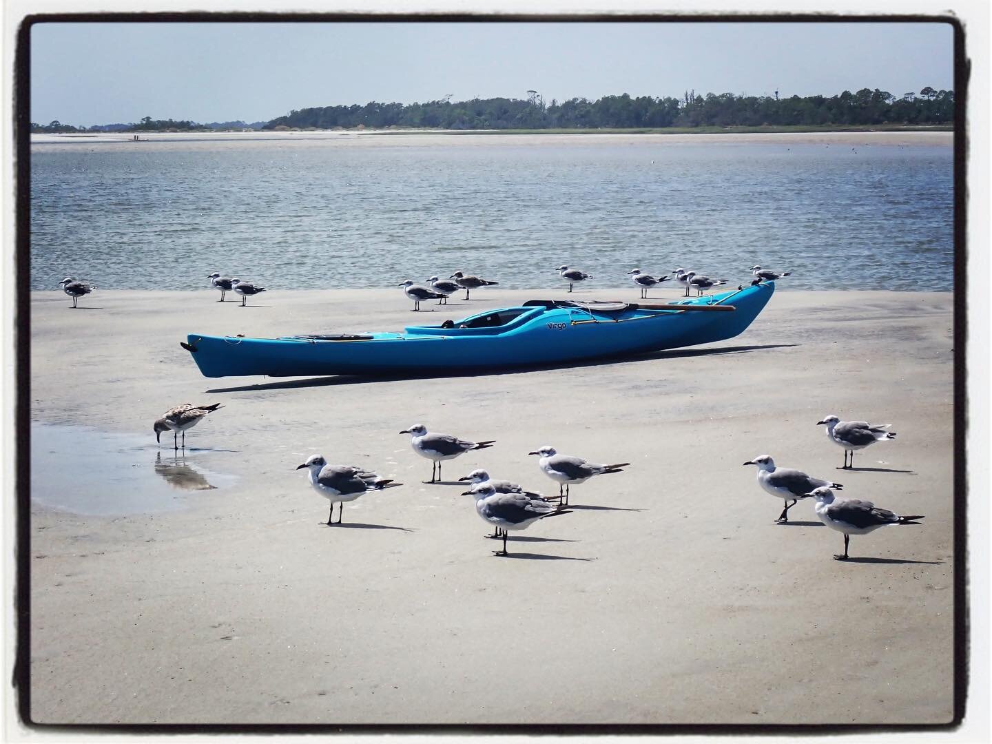 Labor Day Weekend...The busiest boating day of the year is off to a flying start. We have 35 paddlers  on the water at 4 different locations. Y&rsquo;all enjoy the last weekend of summer 2020 now. Stay cool.
#kayak #paddle #savannah #georgia #laborda