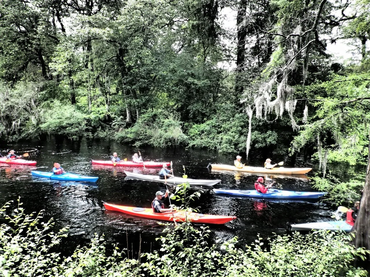 Half Day Tours — Savannah Canoe and Kayak