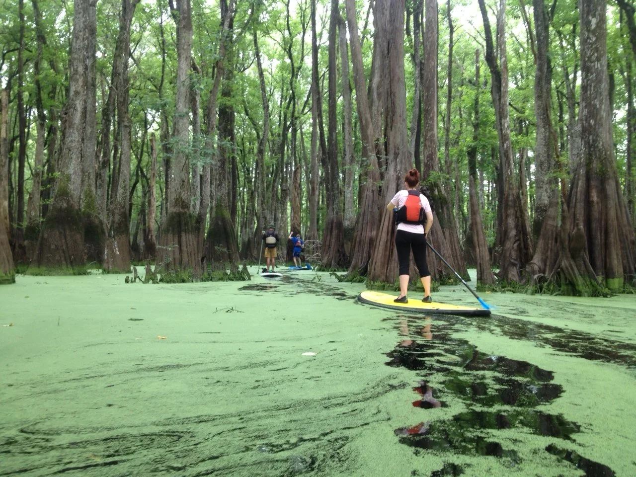 SUP Tour Ebenezer.JPG