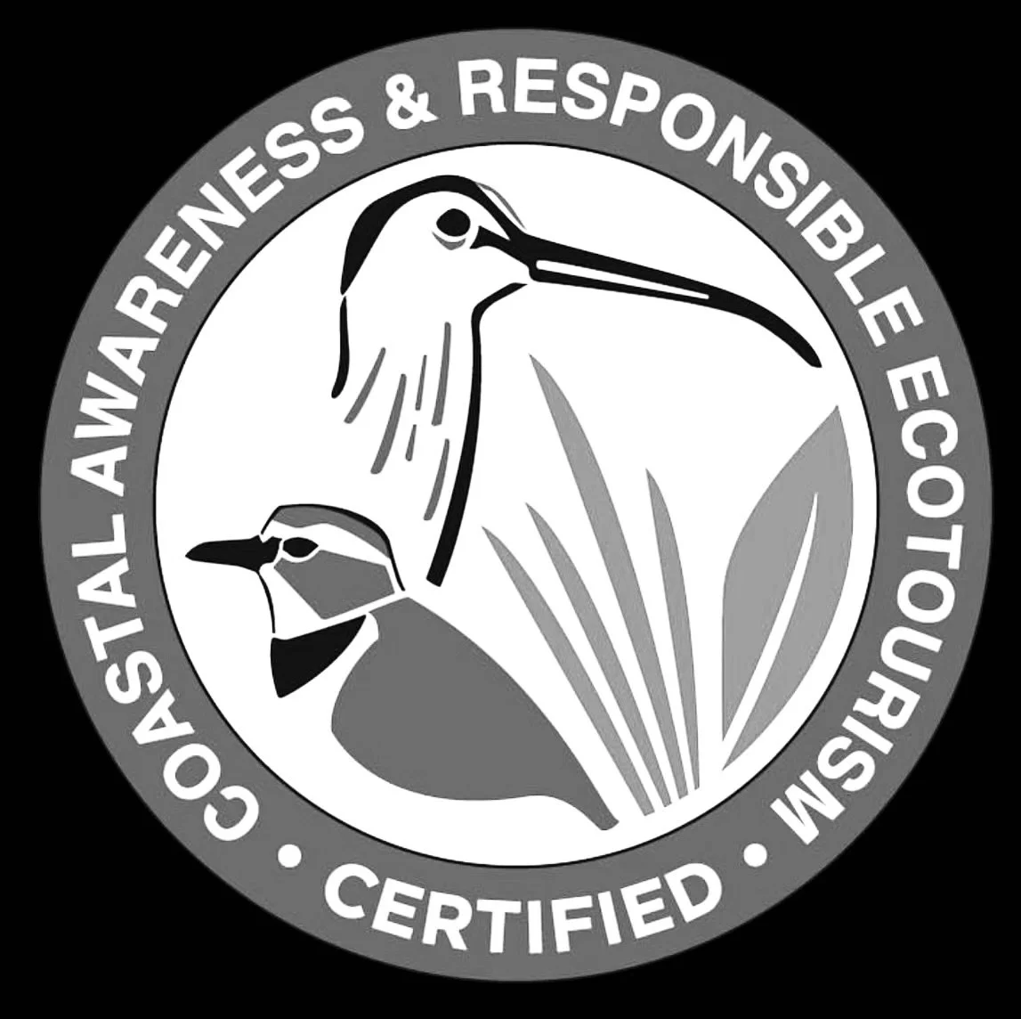 CARES BADGE.jpg