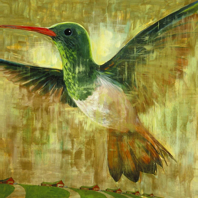 "Buff-Bellied Hummingbird"